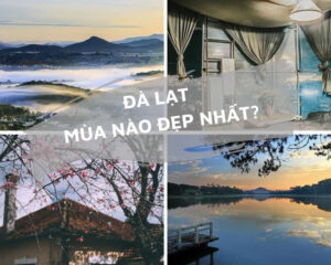 Read more about the article Đi Đà Lạt mùa nào đẹp nhất ?