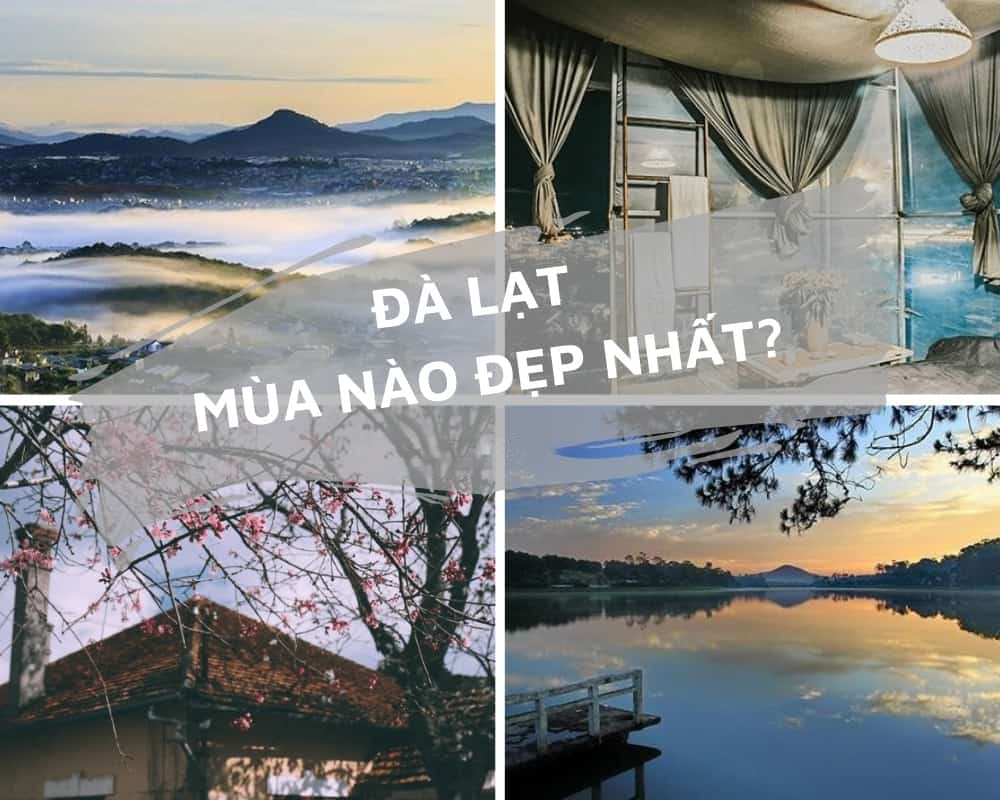 You are currently viewing Đi Đà Lạt mùa nào đẹp nhất ?