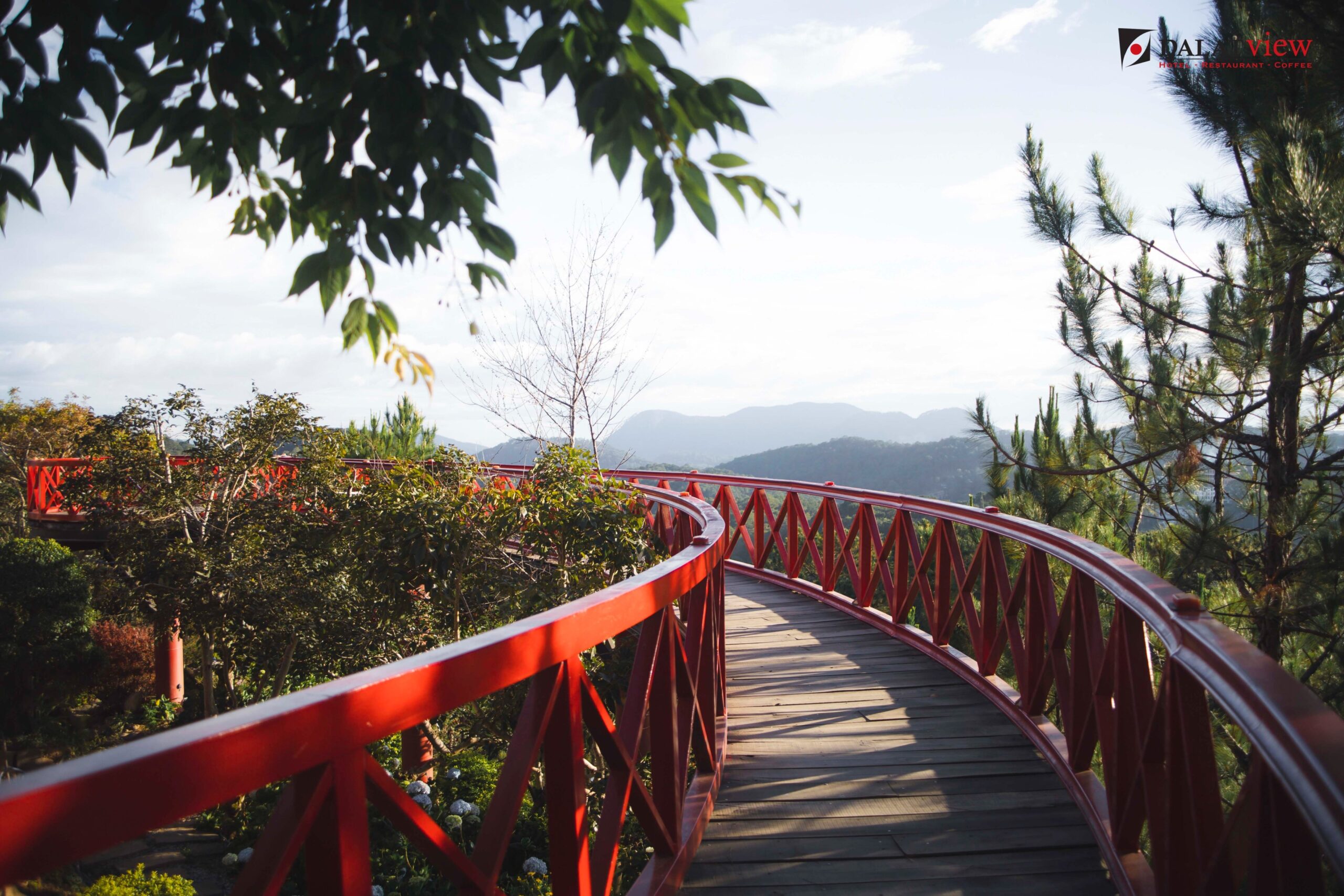 You are currently viewing Điểm Mạnh Và Điểm Yếu Khi Đi Du Lịch Tại Đà Lạt