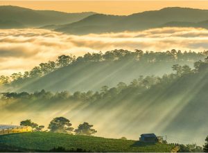Read more about the article Khám phá vẻ đẹp thiên nhiên ở Đà Lạt: Cảm nhận những hồ, thác nước và rừng thông tuyệt đẹp