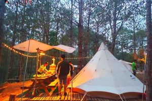 Khám Phá Khu Camping Đà Lạt - Trải Nghiệm Đầy Hứng Khởi Với Giá Cả Hợp Lý